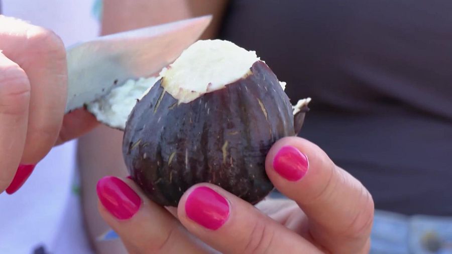 Mano cortando un higo morado oscuro con cuchillo, mostrando su interior claro. Uñas pintadas de rosa fucsia.