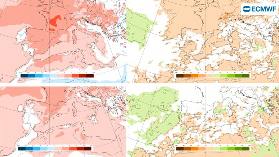 Anomalías de temperatura (izquierda) y precipitación (derecha) según el ECMWF para las semanas del 18 al 24 (arriba) y del 25 al 31 (abajo).
