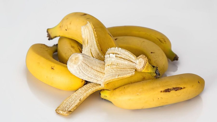 Las 4 mejores recetas de helados para perros de este verano