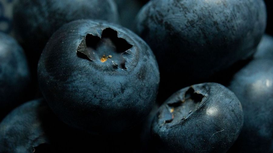 Las 4 mejores recetas de helados para perros de este verano