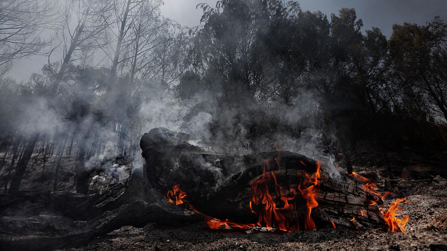 Área afectada por el incendio que desde el sábado afecta a la localidad navarra de Carcastillo