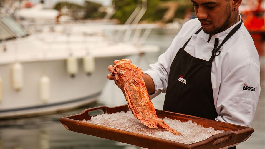 Verano menorquín: un oasis donde los aromas de la cocina tradicional se funden con la brisa del Mediterráneo