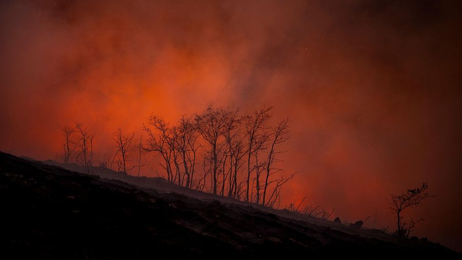 Vista del incendio forestal que permanece activo en la localidad de Maceda (Ourense).