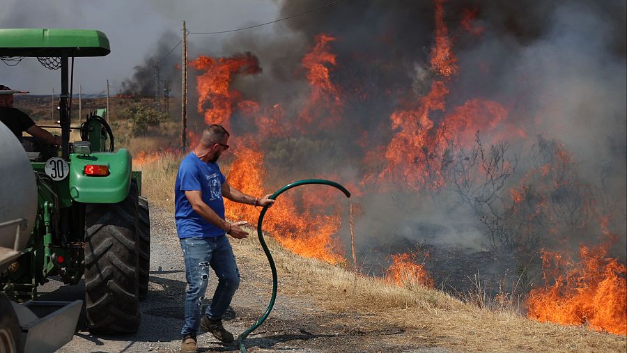 Una persona lucha contra las llamas del incendio de A Gudiña (Ourense),