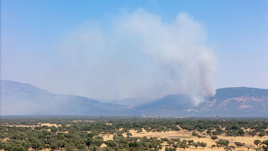 El incendio que se originó en Jarilla continúa avanzando sin control después de cuatro días.