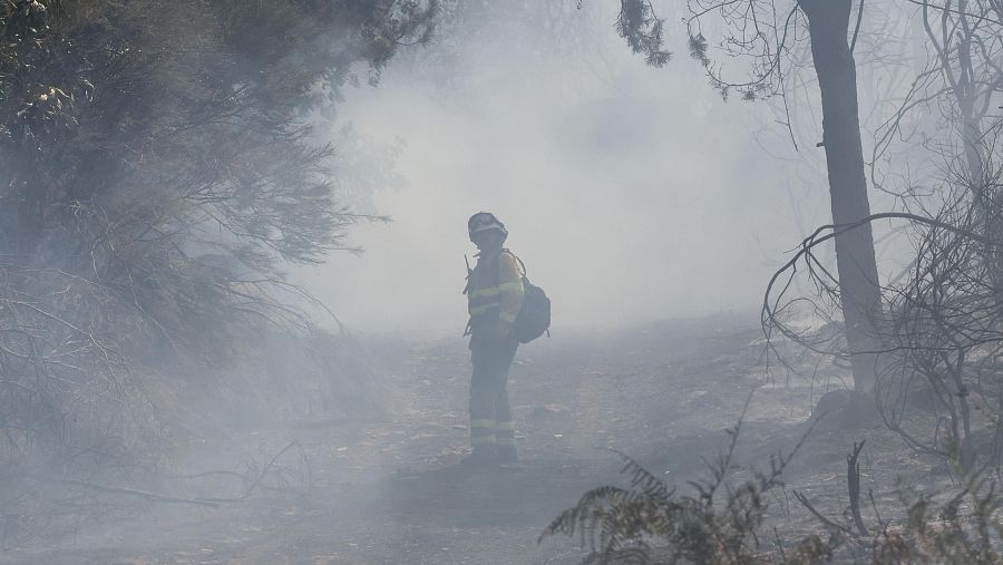Bomberos trabajan en la extinción del incendio en las proximidades de La Alberca (Salamanca).