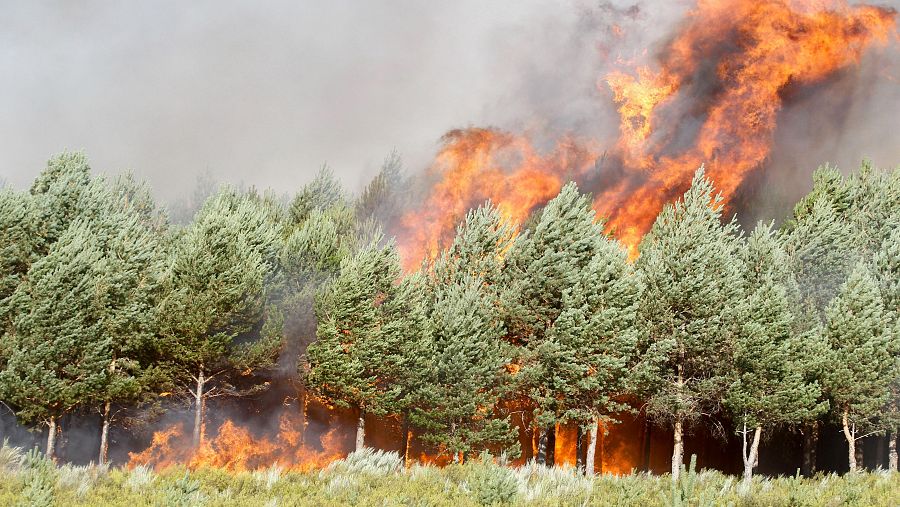 Los brigadistas intentan contener por segundo día el incendio en la zona limítrofe entre Ourense y Zamora.