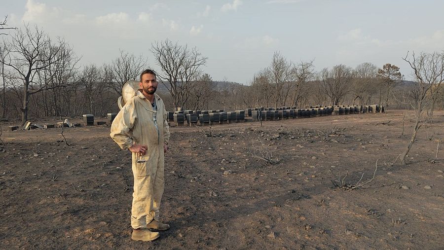 Álvaro Lobato, ante su terreno con colmenas en Felechares de la Valdería
