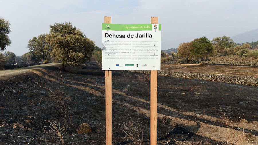 Campo quemado en Jarrilla