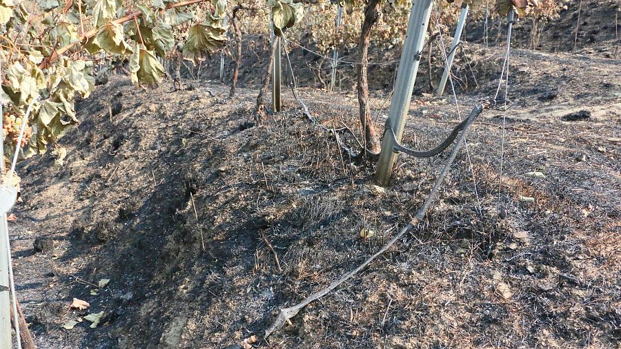Vista del sistema de riego calcinado tras el incendio