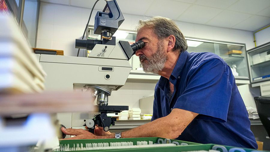 Detectan casos de inmadurez cerebral en niños gestados con covid-19