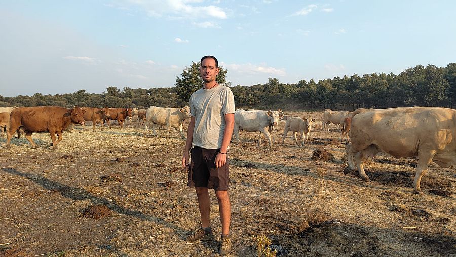 Víctor, ganadero en León, con sus vacas