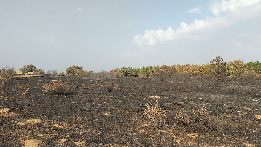 Finca quemada tras el incendio de León