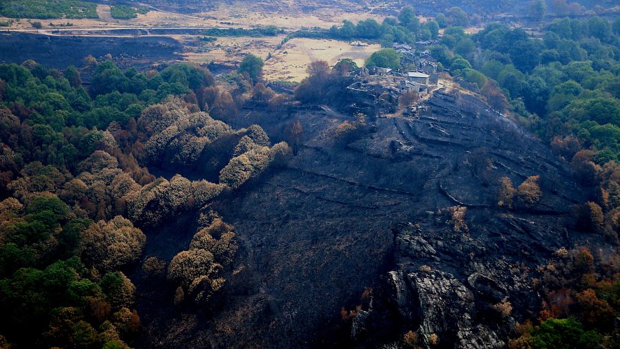 Vista del monte arrasado en Feais, Quiroga