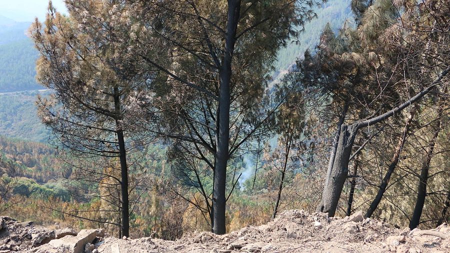 Imagen de un conato de incendio en Bendilló