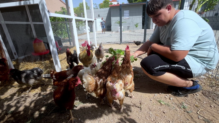 Quan sigui gran, vull ser pagès!