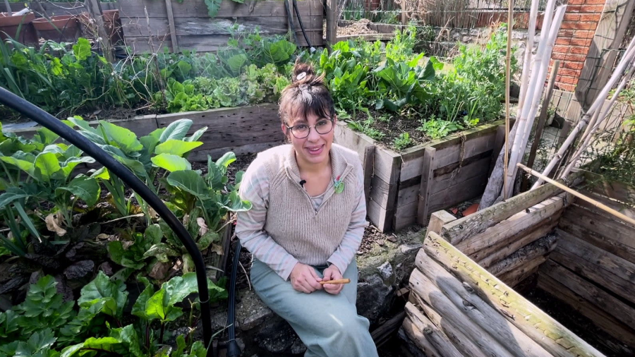 Canyella autèntica: aquestes són les propietats de l'espècia originària de Sri Lanka