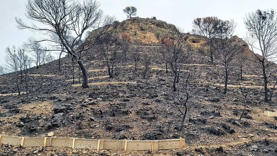 Fajina biodegradable instalada tras el incendio de Agramón, en Hellín, Albacete