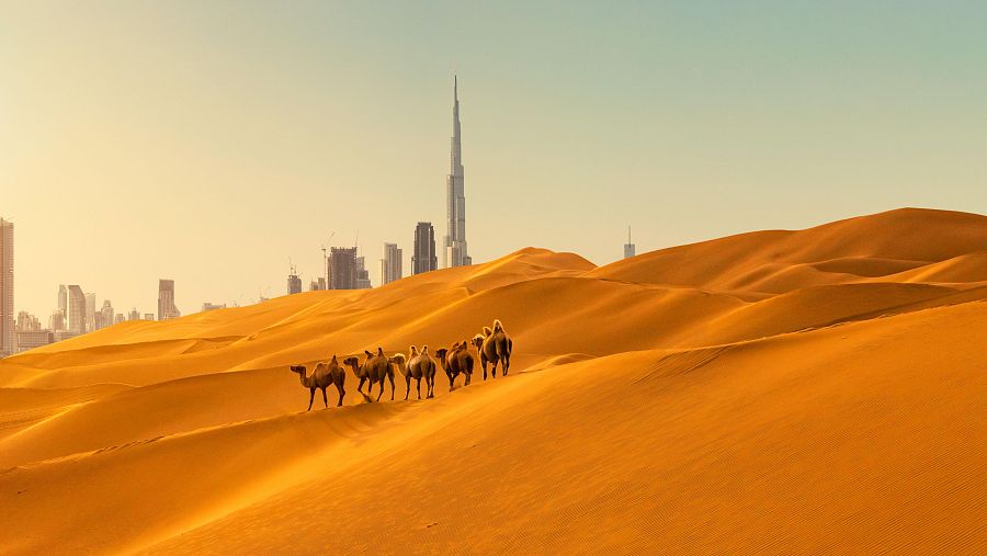 La reserva natural del desert de Dubai, un mar de dunes