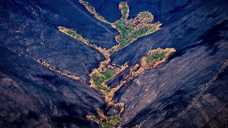 Greenpeace documenta desde el aire las zonas quemadas por los incendios en las provincias más afectadas de Galicia.