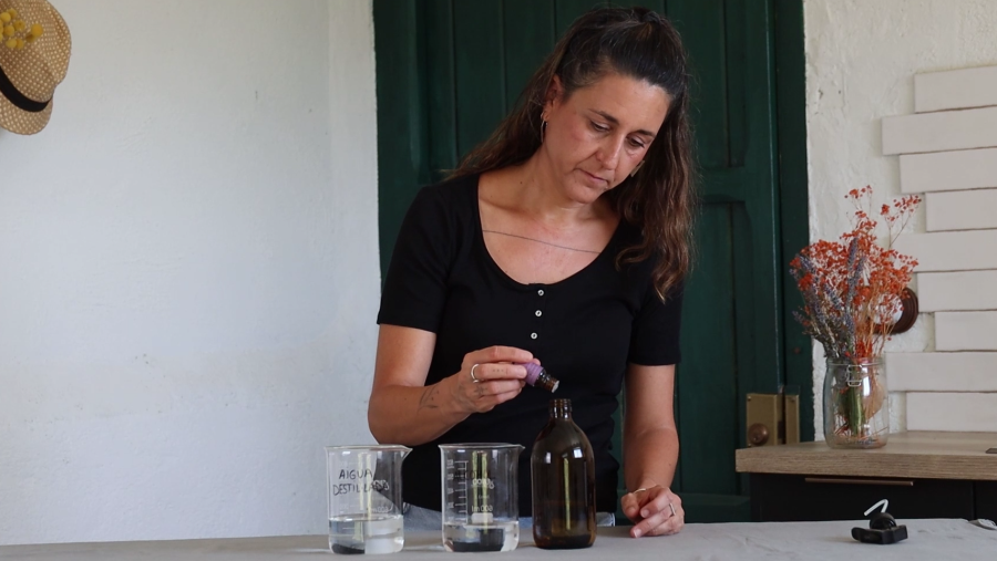 Gaudeix de l'aromateràpia amb aquest ambientador natural de lavanda