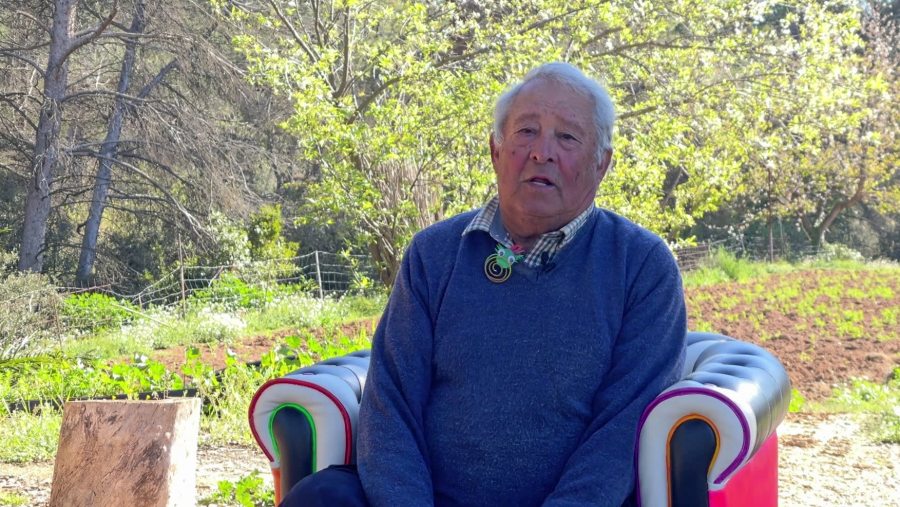 Tirar cendres al substrat és beneficiós: mite o realitat?