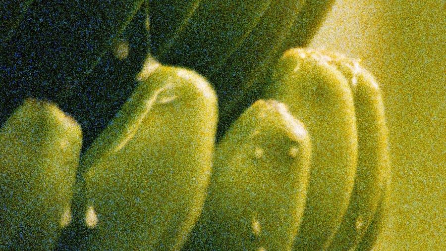 Cine expandido en 'Nuevos imaginarios'