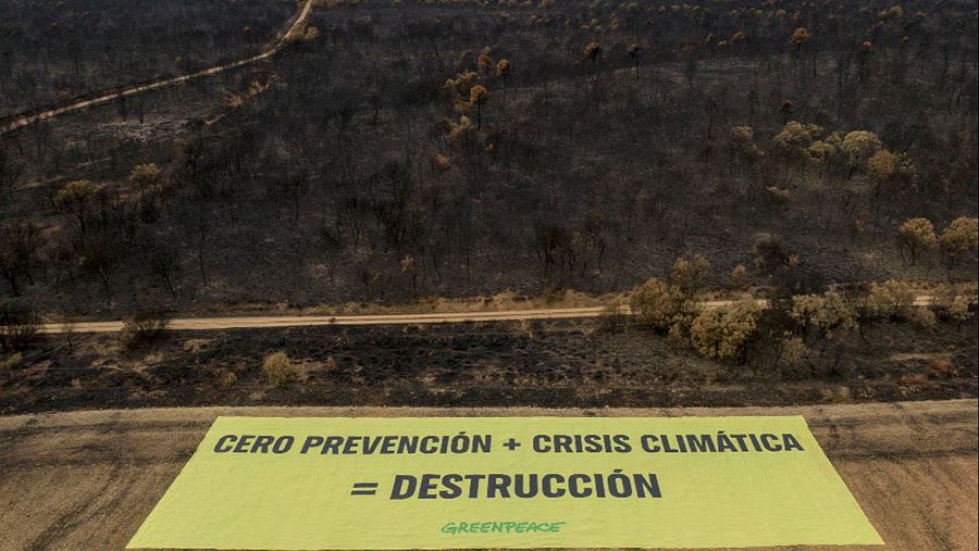 Pancarta de Greenpeace en Palacios de Jamuz, León