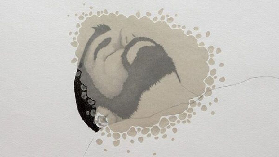 'Autorretrato interior' (Guillermo Peñalver) forma parte de la última edición de Conexines