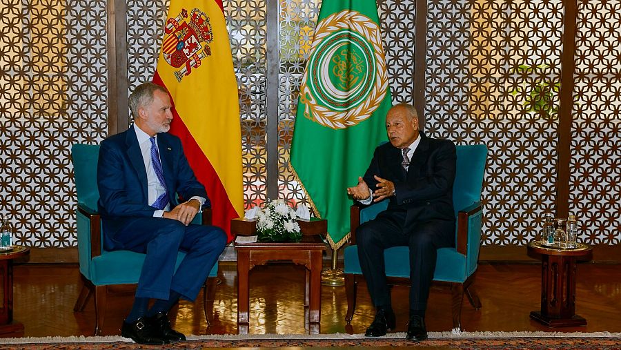 El rey Felipe VI con el segretario genera de la Liga de los Estados Árabes, Ahmed Aboul Gheit