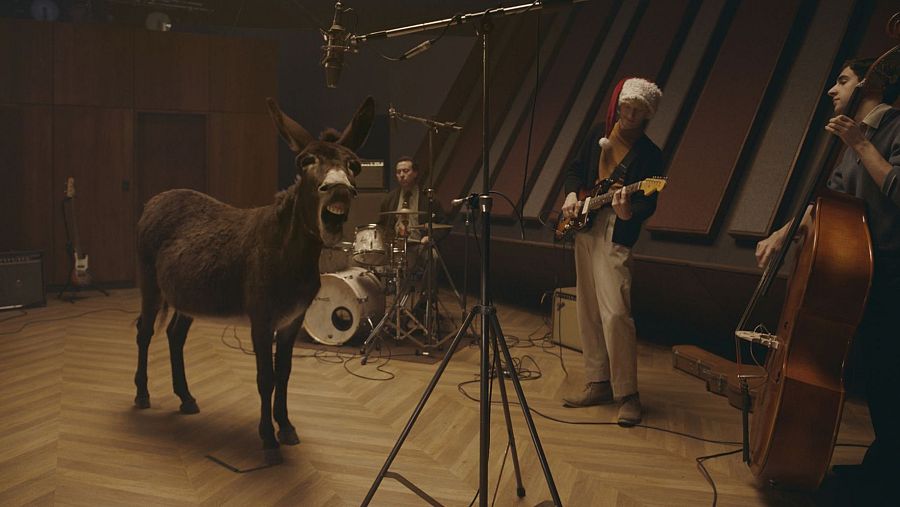 ‘Donkey’ Revolver, Sydney (Australia)