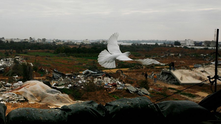 Conoce la historia de Anja Niedringhaus, la fotoperiodista que fue asesinada por mostrar la verdad de la guerra