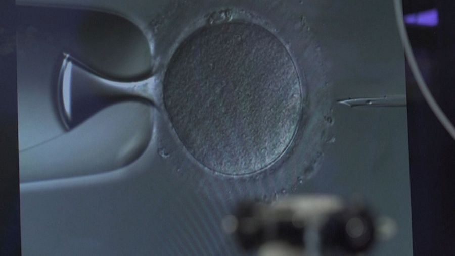 Hijos de un gen sin nombre.