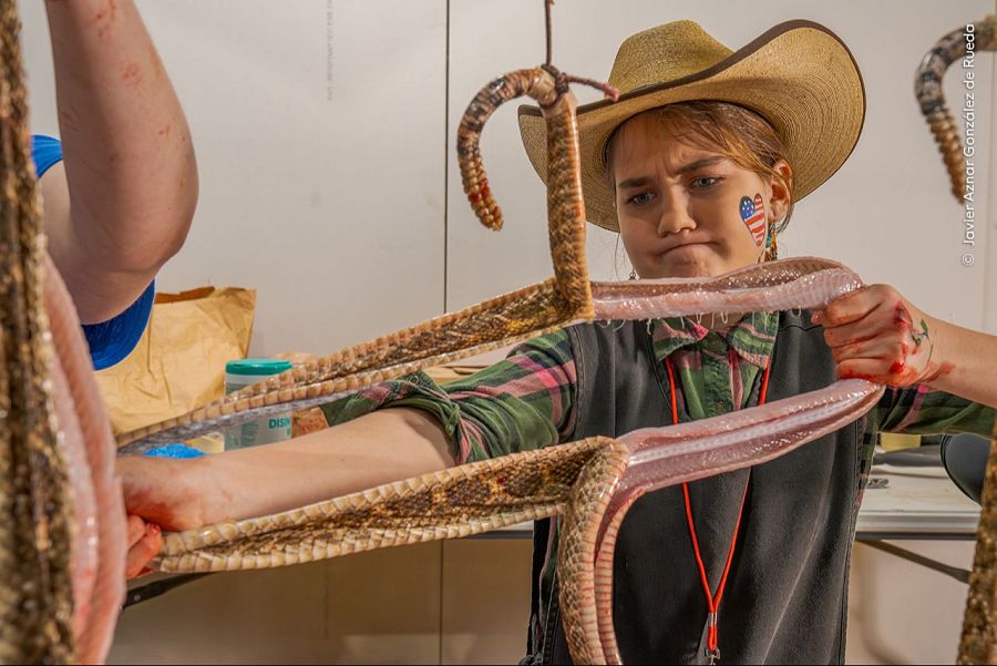 Wildlife Photographer of the Year 2025: Reportaje de Fotoperiodismo