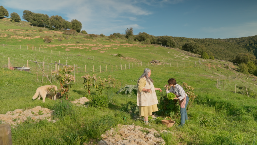 Sílvia Abril collint hortalisses a casa de Laia Àguila al Montseny