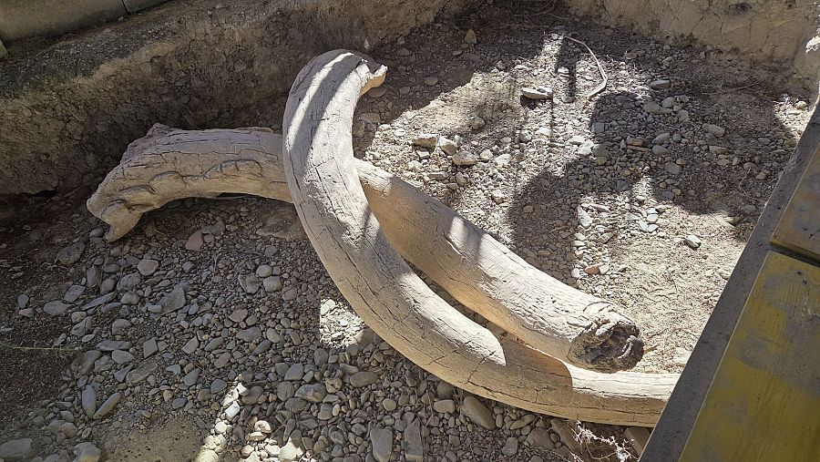 Ràdio 4 estrena un nou capítol de 'Sense memòria', des del jaciment arqueològic del Barranc de la Boella