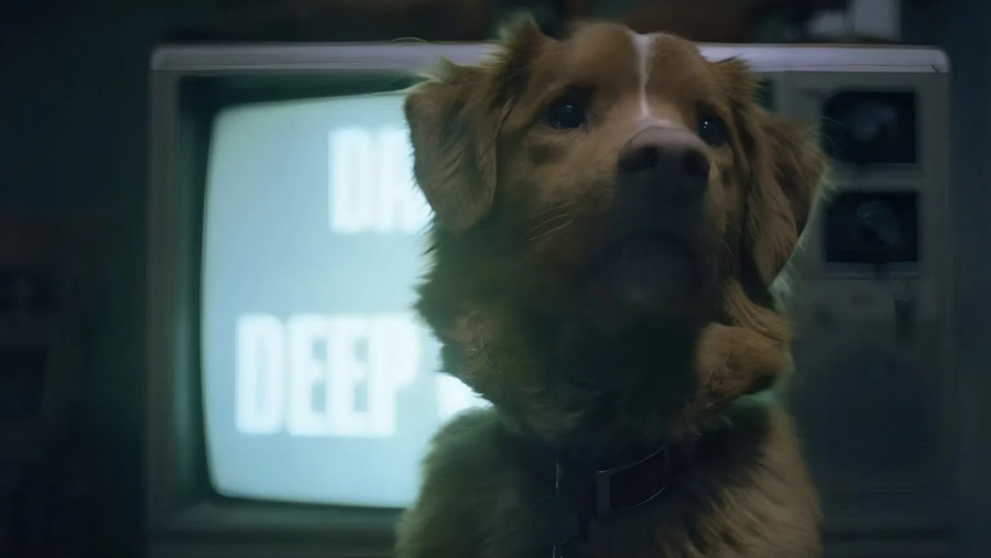 Indy, un retriever, mira a cámara en una habitación en penumbra mientras un humano, fuera de foco, sostiene una linterna azul. Fotograma de Good Boy.