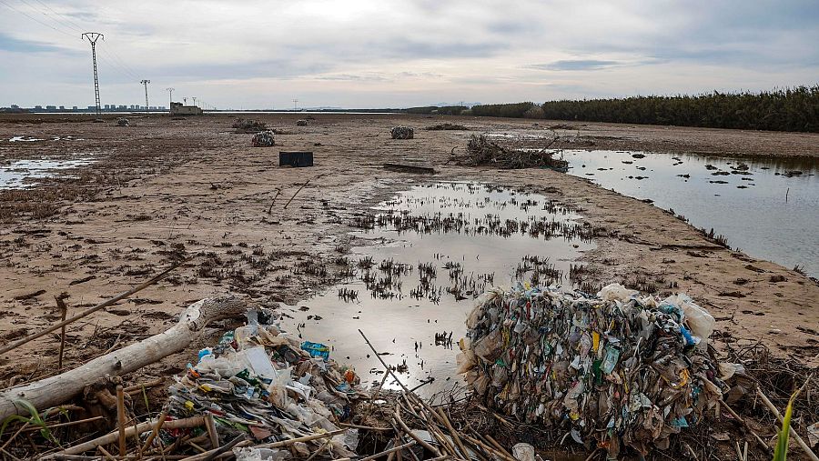 Vista de los destrozos en la Albufera de Valencia tras la dana de 2024