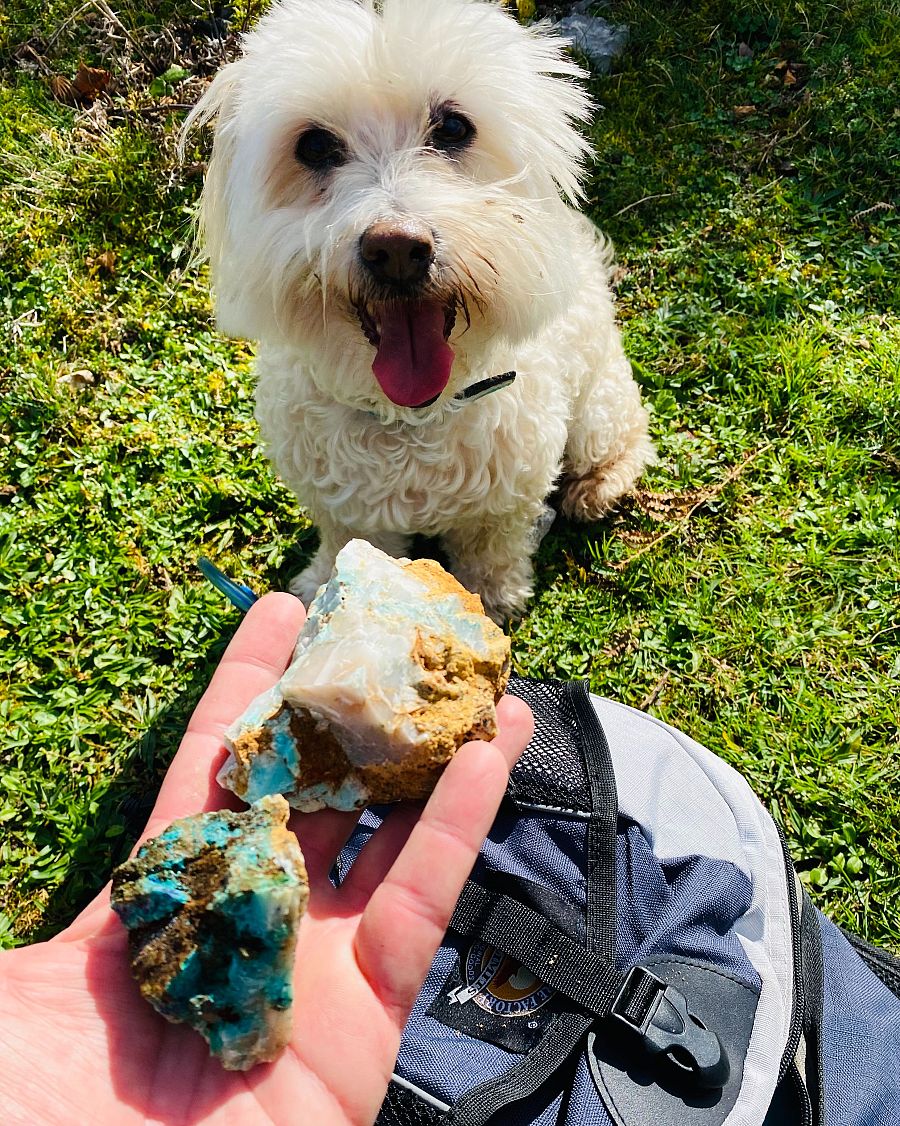 El perro Migas sentado sobre la hierba junto a una mochila, frente a una mano que sostiene dos rocas con vetas azuladas.