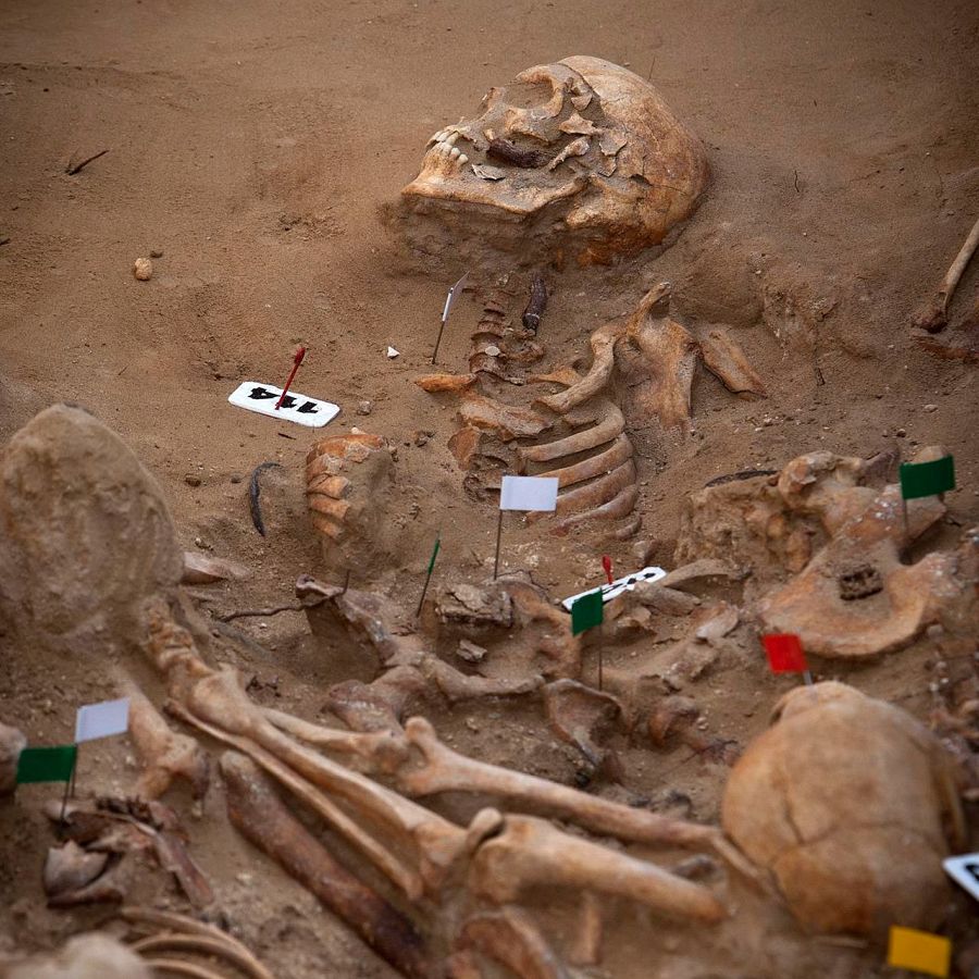 Identificadas 120 personas en una fosa común de Puerto Real, en Cádiz.