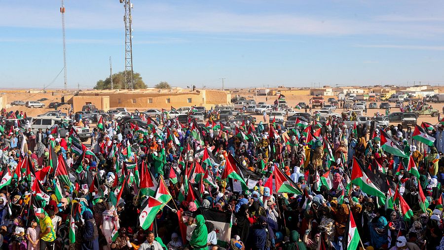 Una gran concentración de personas en un paisaje desértico agita banderas con diseños rojo, verde, blanco y negro, con una media luna y una estrella rojas. Se aprecian construcciones y vehículos en el fondo, posiblemente en un acto de protesta.