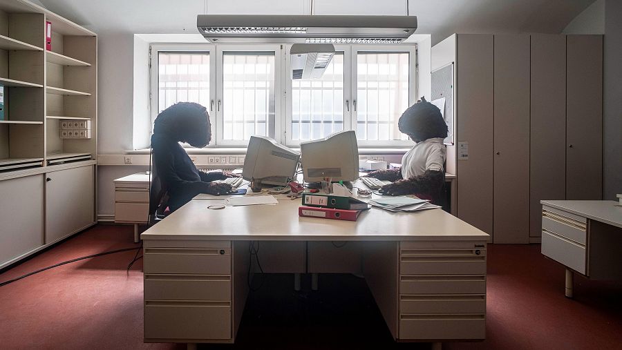 ‘Better a Healthy Donkey Than a Sick Horse’ (Angélique Aubrit & Ludovic Beillard, 2025)