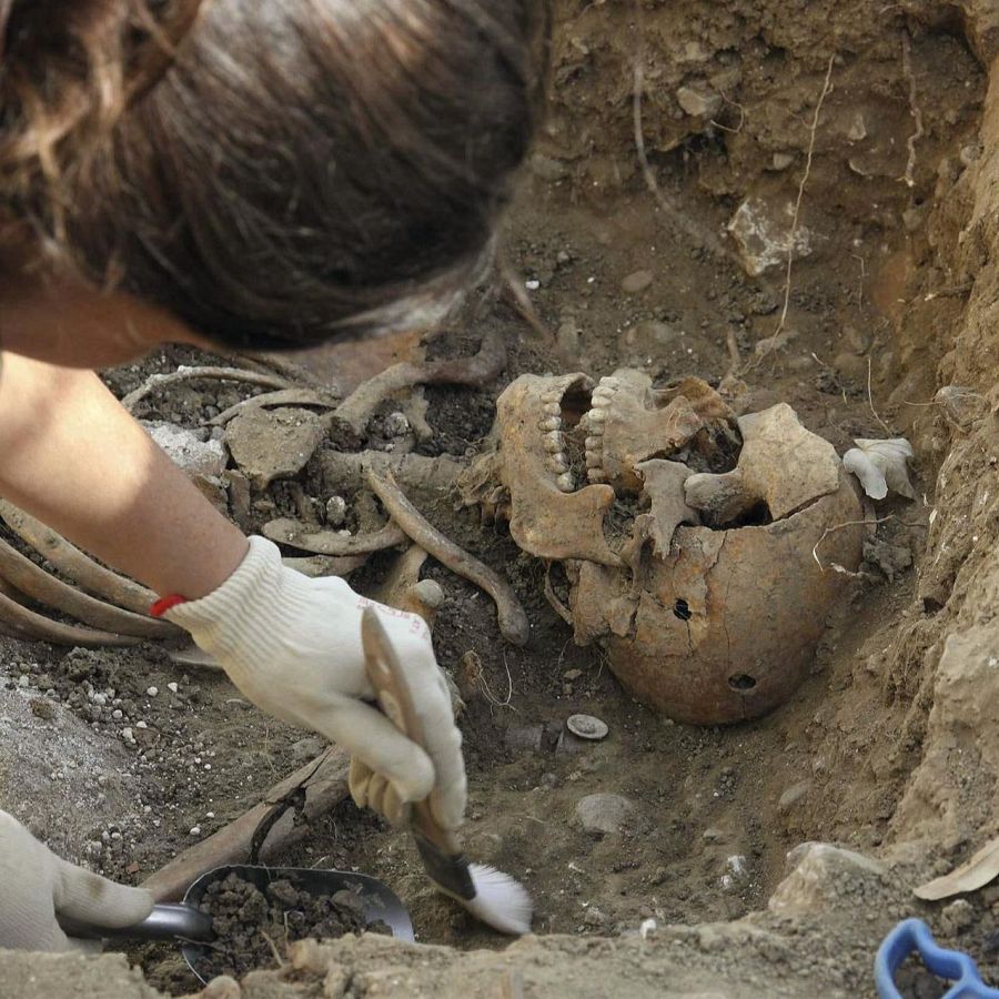 En una excavación se aprecian los restos de una persona y herramientas de excavación (Palencia)