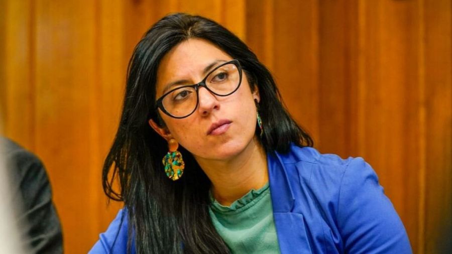 Entrevista a Paulina Zamorano Valenzuela, jefa del Programa de Derechos Humanos de Chile