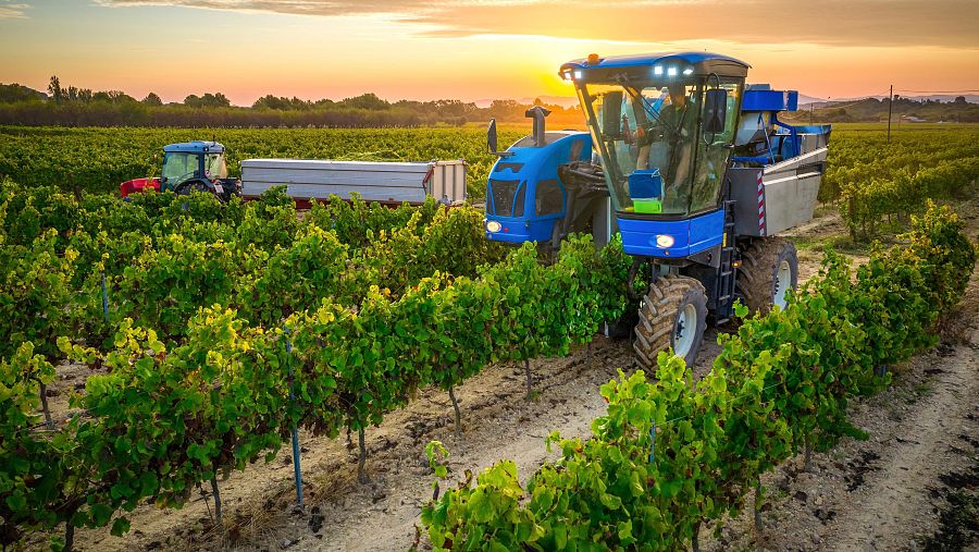 Internet de las Cosas en el ámbito rural.