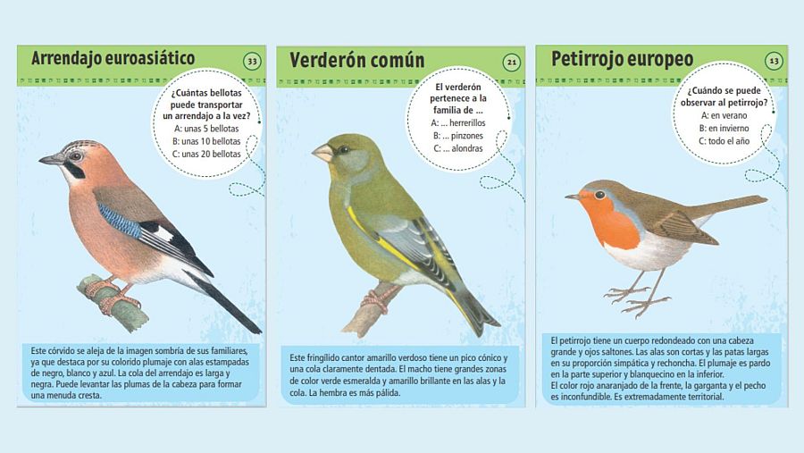 Cartas educativas dedicadas a las aves más comunes de la península ibérica, parte de la colección 50 aves de España y Europa de Naturaleza con Juan y Migas