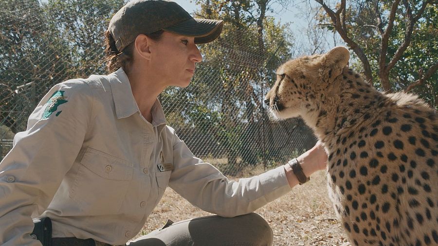 'Dra. Fabiola Jones'