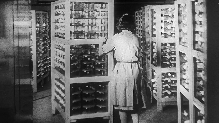 La penicil·lina arriba a Espanya i el Dr. Fleming visita Barcelona