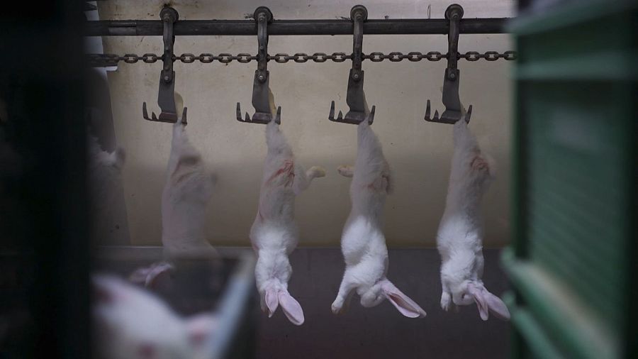 Fotograma del reportaje EN CARNE VIVA, del Escarabajo Verde