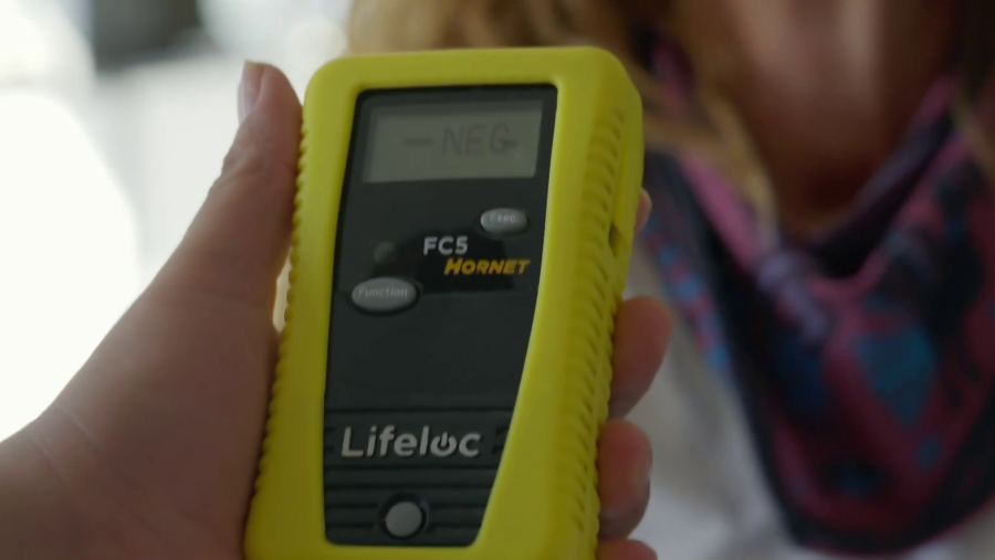 Resultado negativo en la prueba de alcoholemia a Rocío Carrasco